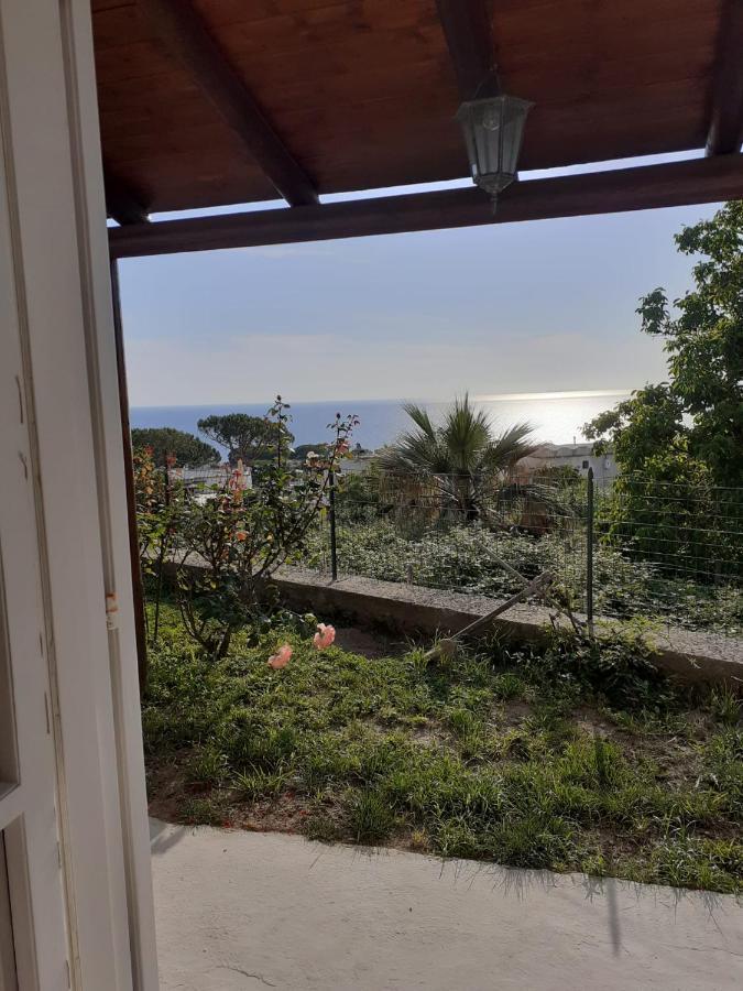 La Terrazzina Sul Tramonto Bed & Breakfast Forio  Ngoại thất bức ảnh