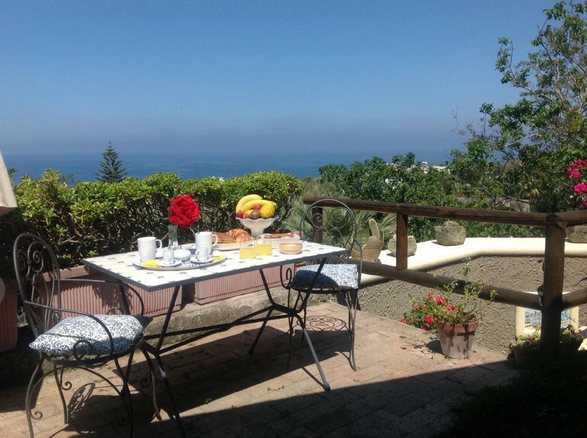 La Terrazzina Sul Tramonto Bed & Breakfast Forio  Ngoại thất bức ảnh