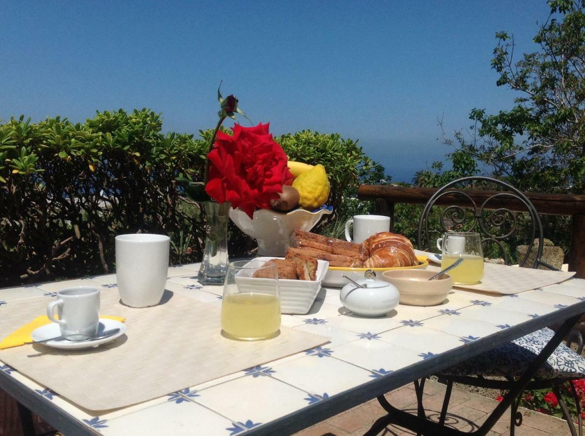 La Terrazzina Sul Tramonto Bed & Breakfast Forio  Ngoại thất bức ảnh